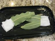 milkweed leaves with possible monarch eggs, 31 July 2022