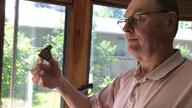 Ted releasing our first adult monarch butterfly, 6 August 2022
