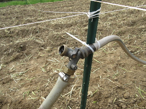 A faucet at the corner of each plot