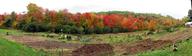 panorama (scroll your browser sideways) of the almost-cleared garden with a fall foliage backdrop