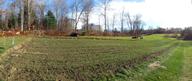 panorama (scroll your browser sideways) showing winter rye greening up