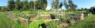 garden panorama (scroll your browser sideways)  from trail