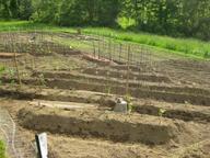 beds built, first seedlings transplanted