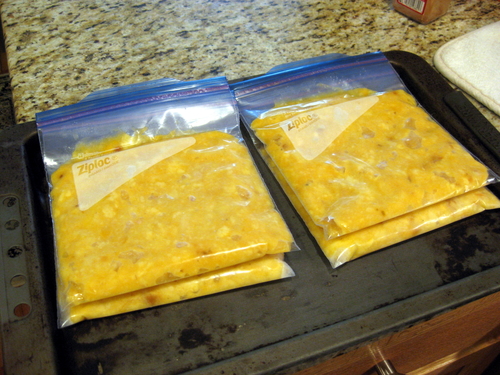 seedless pawpaw pulp in 1 cup portions ready for freezer
