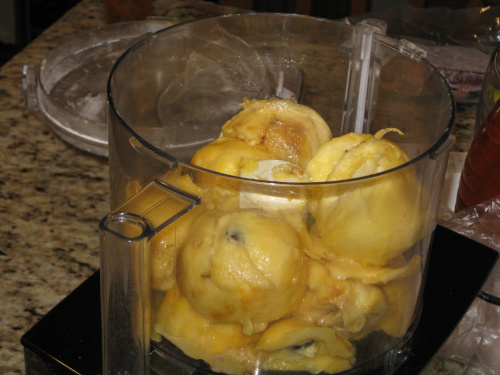 pulp with seeds in food processor with dough blade
