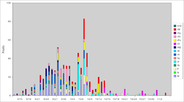 My 2025 pawpaw harvest